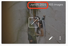 Date shown on the galleries